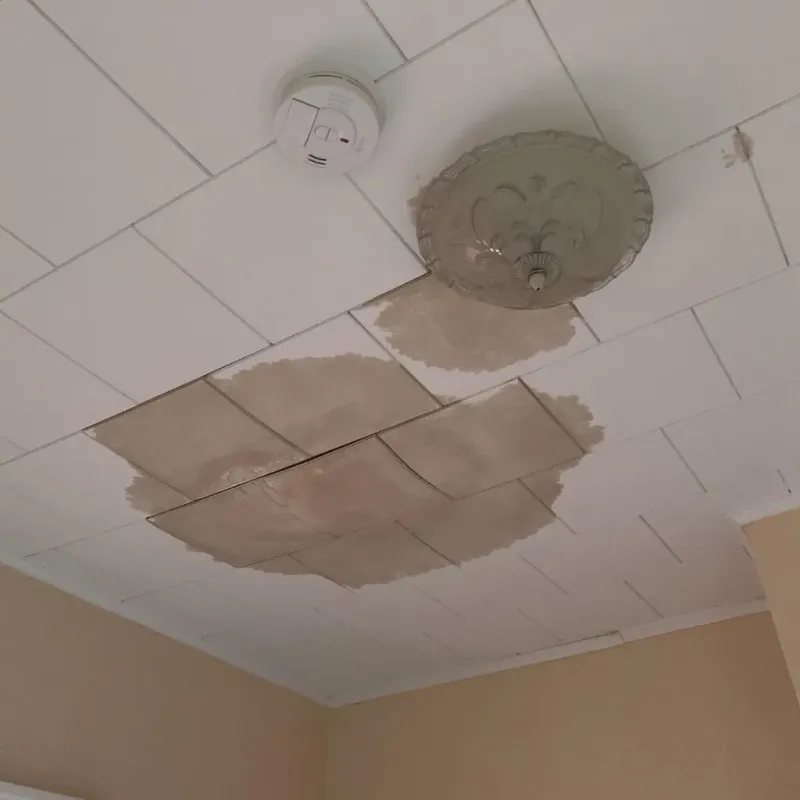 Ceiling Water Damage Repair in Bethel, CT