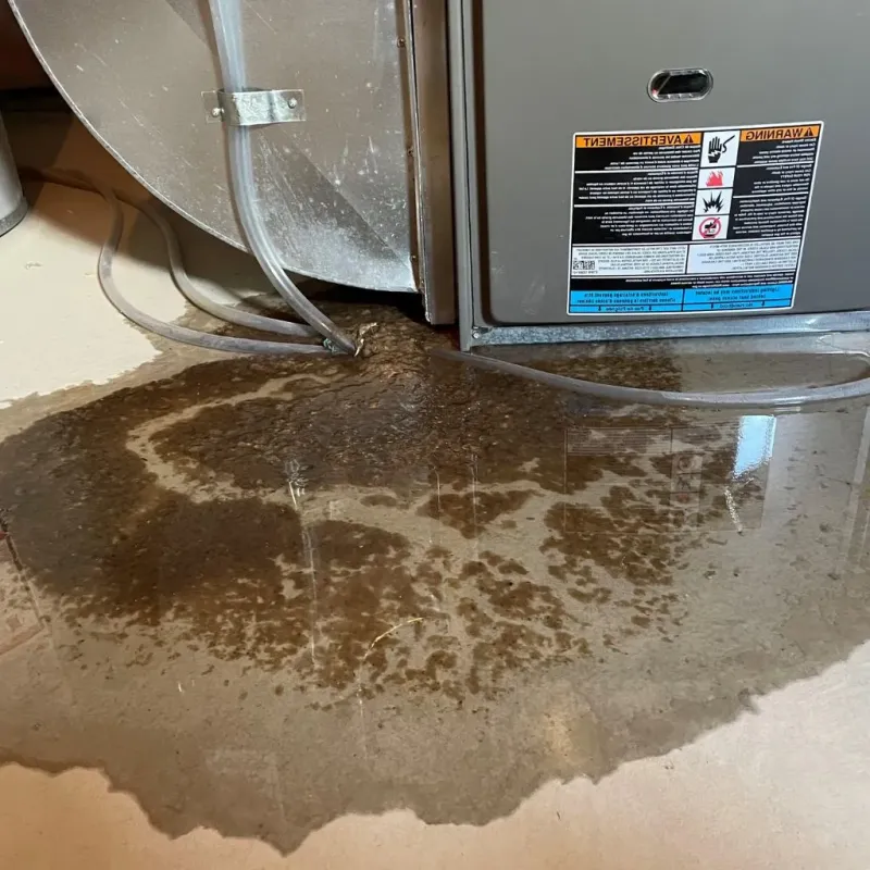 Pipe Burst and Leak Restoration in Bethel, CT