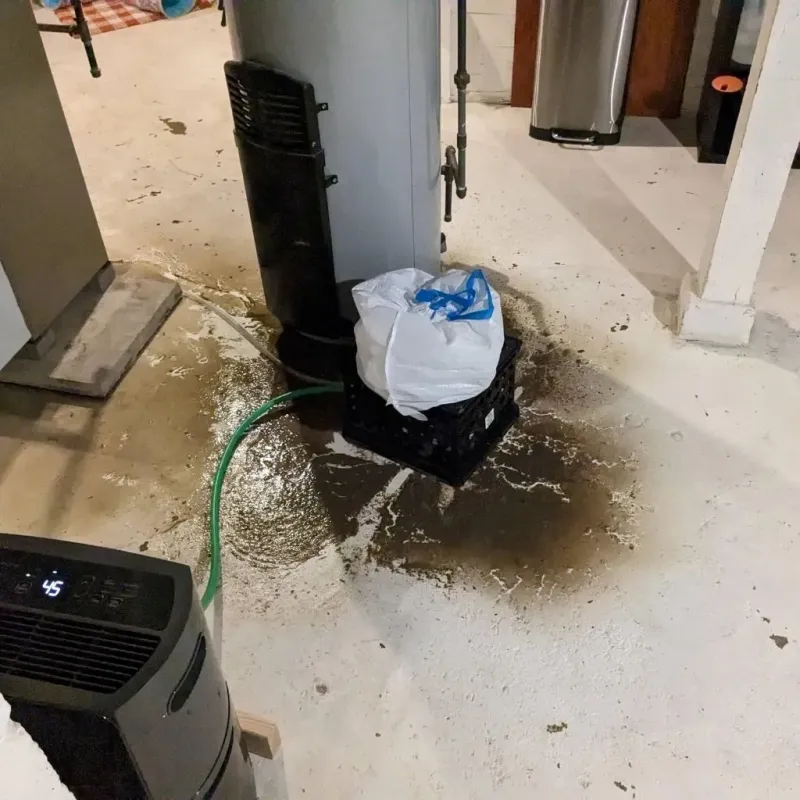 Sewage Backup Cleanup Service in Bethel, CT
